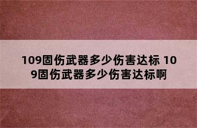 109固伤武器多少伤害达标 109固伤武器多少伤害达标啊